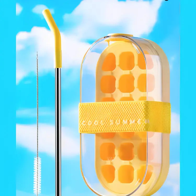 2‑in‑1 DIY Ice Cube & Juice Bottle