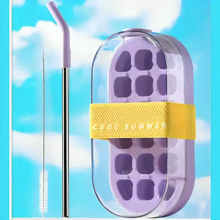 2‑in‑1 DIY Ice Cube & Juice Bottle