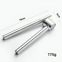 Stainless Steel Garlic Press