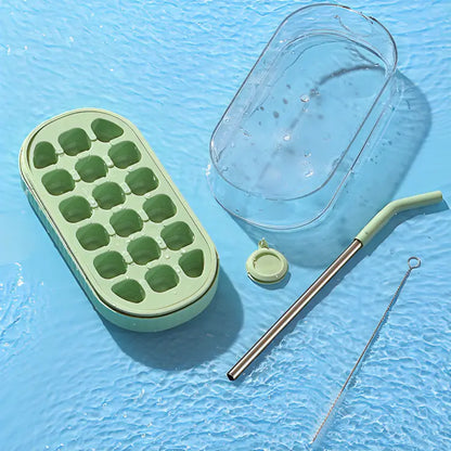2‑in‑1 DIY Ice Cube & Juice Bottle